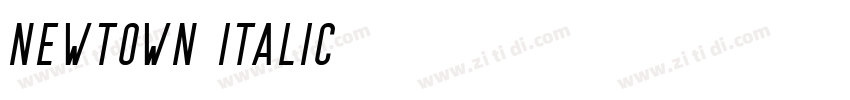 Newtown Italic字体转换